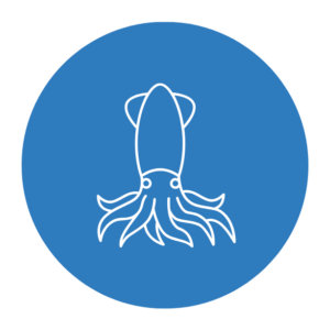 Mực