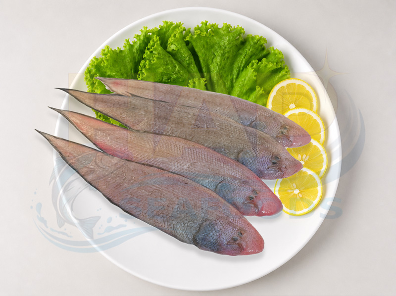 Cá lưỡi trâu