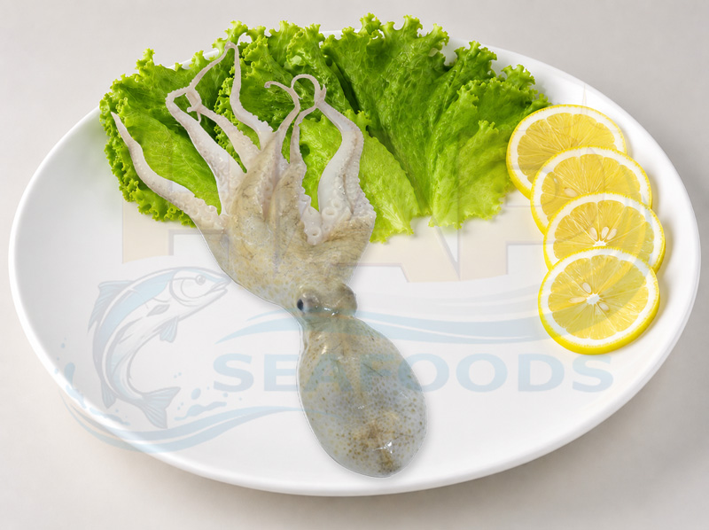 Mực tua kẽm - Hình ảnh 3