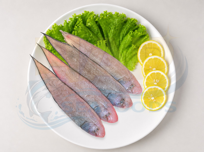 Cá lưỡi trâu - Hình ảnh 3