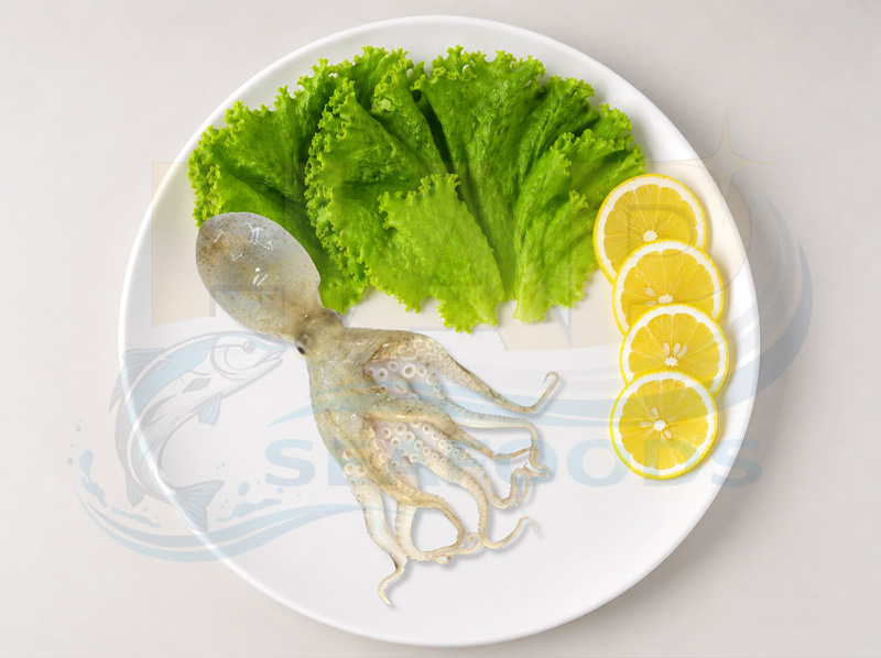 Mực tua kẽm - Hình ảnh 2