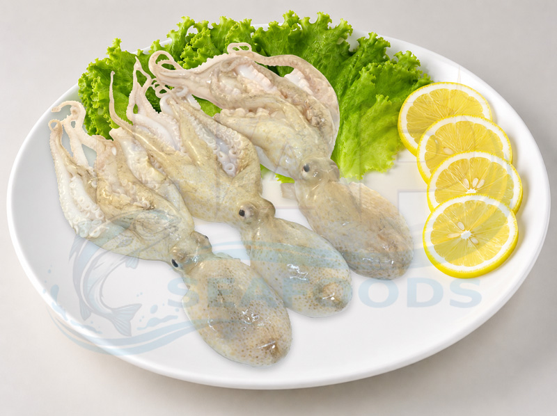 Mực tua kẽm