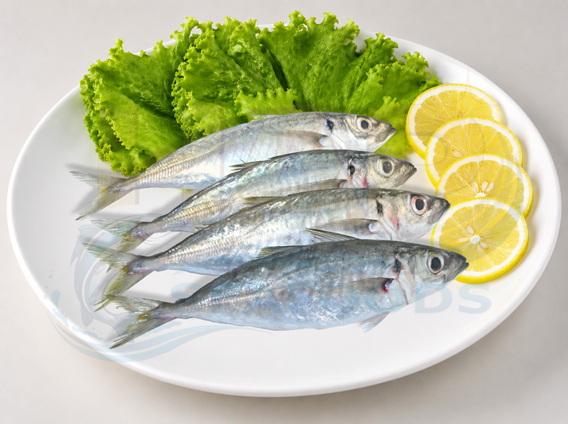 Cá nục gai